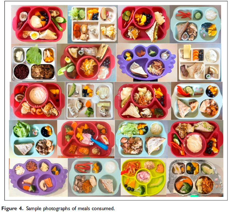 Collage of kids' balanced meals on divided plates. Healthy food includes fruits, vegetables, sandwiches, and protein.