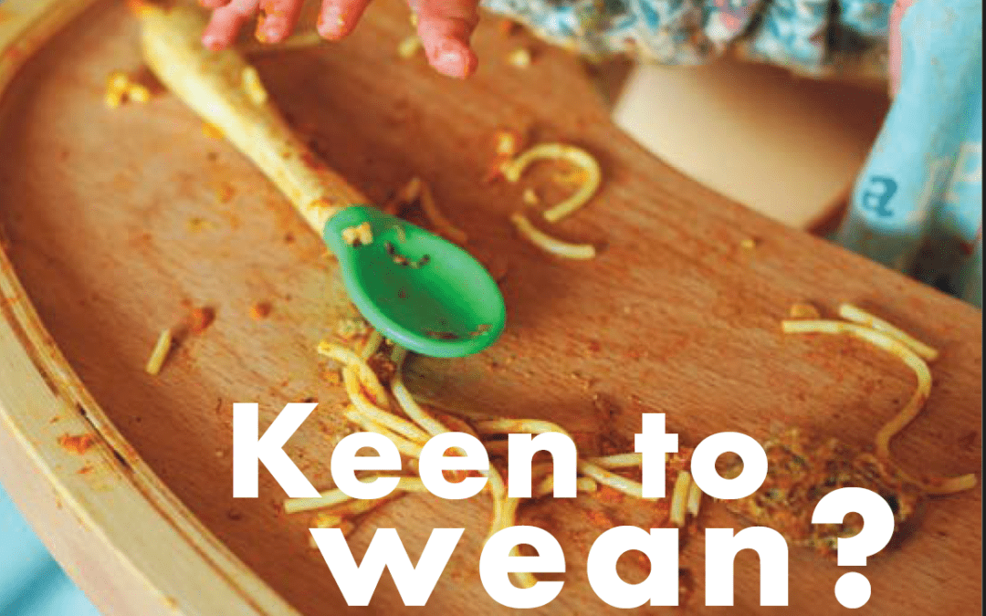 THE BLEND mag 3! Two experts share their advice on making the transition from tube-feeding to oral eating. In